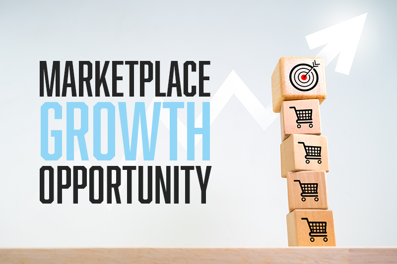 Data-driven marketplace ad strategies - The QA